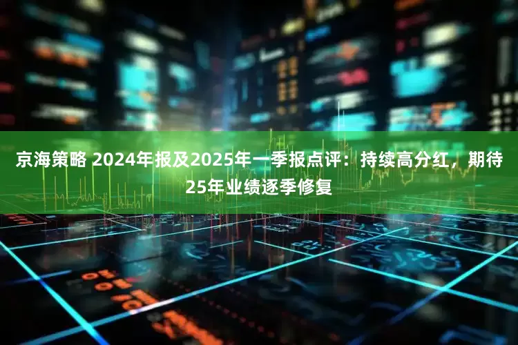 京海策略 2024年报及2025年一季报点评：持续高分红，期待25年业绩逐季修复