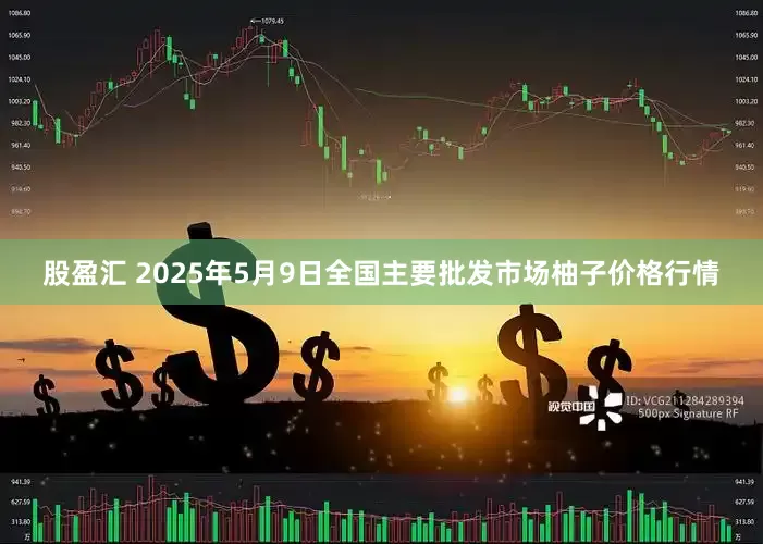 股盈汇 2025年5月9日全国主要批发市场柚子价格行情