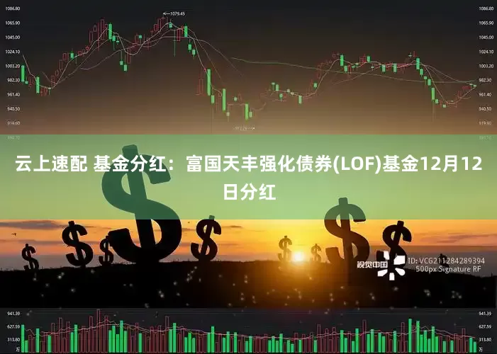 云上速配 基金分红：富国天丰强化债券(LOF)基金12月12日分红